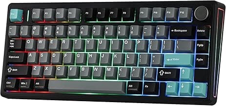 EPOMAKER TH80 V2 75% Wireless Mechanical Keyboard with Metal Knob, 8000mAh, 2.4Ghz/BT/USB-C, RGB, Hot Swap, Custom Driver, PBT Keycap, Wireless Gaming Keyboard for PC/Mac (Black, Creamy Jade)