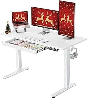 ErGear Electric Standing Desk with Drawers, 48" x 24" Height Adjustable Desk with 4 Preset, Home Office Computer Table with Splice Board, White