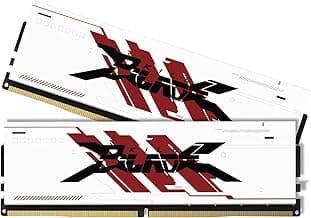 PUSKILL 32GB Kit (2x16GB) DDR4 RAM 3200MHz PC4-25600 Desktop Memory with Aluminum Heatsink, Non-ECC Unbuffered UDIMM 1.35V CL16 288-Pin, High Performance Gaming PC Upgrade for Intel & AMD