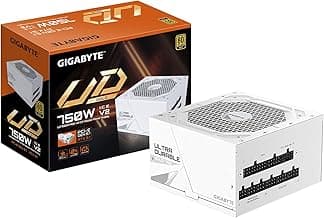 GIGABYTE UD750GM PG5 V2 ICE - 750W 80 Plus Platinum Certified - PCIe5.1 Ready - ATX3.1 - Fully Modular Power Supply (GP-UD750GM PG5 ICE)