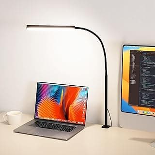 LED Desk Lamp for Office Home, Adjustable Flexible Eye-Caring Desk Light with,5 Modes 10 Brightness Adjustment, USB Adapter Desk Lamp with Clamp-MINI-B