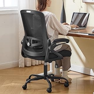 Ergonomic Office Chair, Desk Chair with Adjustable Lumbar Support, Breathable Mesh Comfy Computer Chairs with Flip-up Armrests Executive Task Chair for Adults Home Office(Black)
