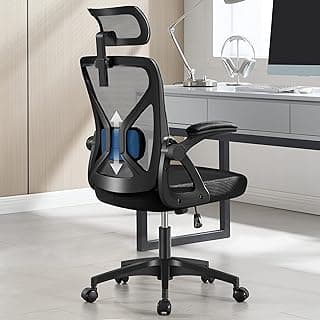 Office Chair,Ergonomic Desk Chair with Adjustable Lumbar Support,400 Lbs Mesh Computer Chair High Back with Headrest for Home Office (Black)