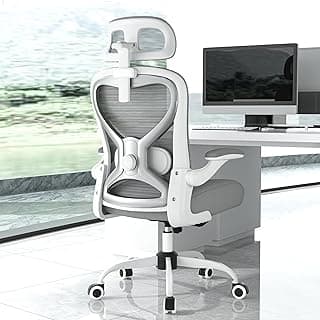 Ergonomic Office Chair for Back & Neck Pain Relief, Virgin Foam Seat, 2D Adjustable Lumbar & 3D Headrest, Tilt & Rock for Relaxation, Ideal for Long Sitting Comfort, Gray/Silver